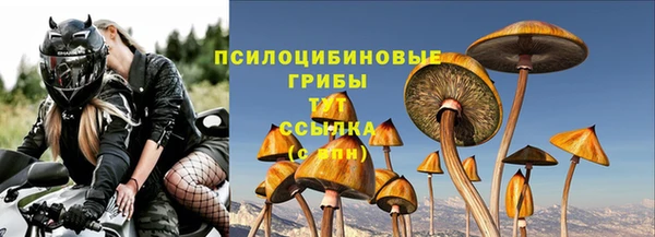 мдма Осинники